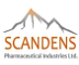 skandens Client